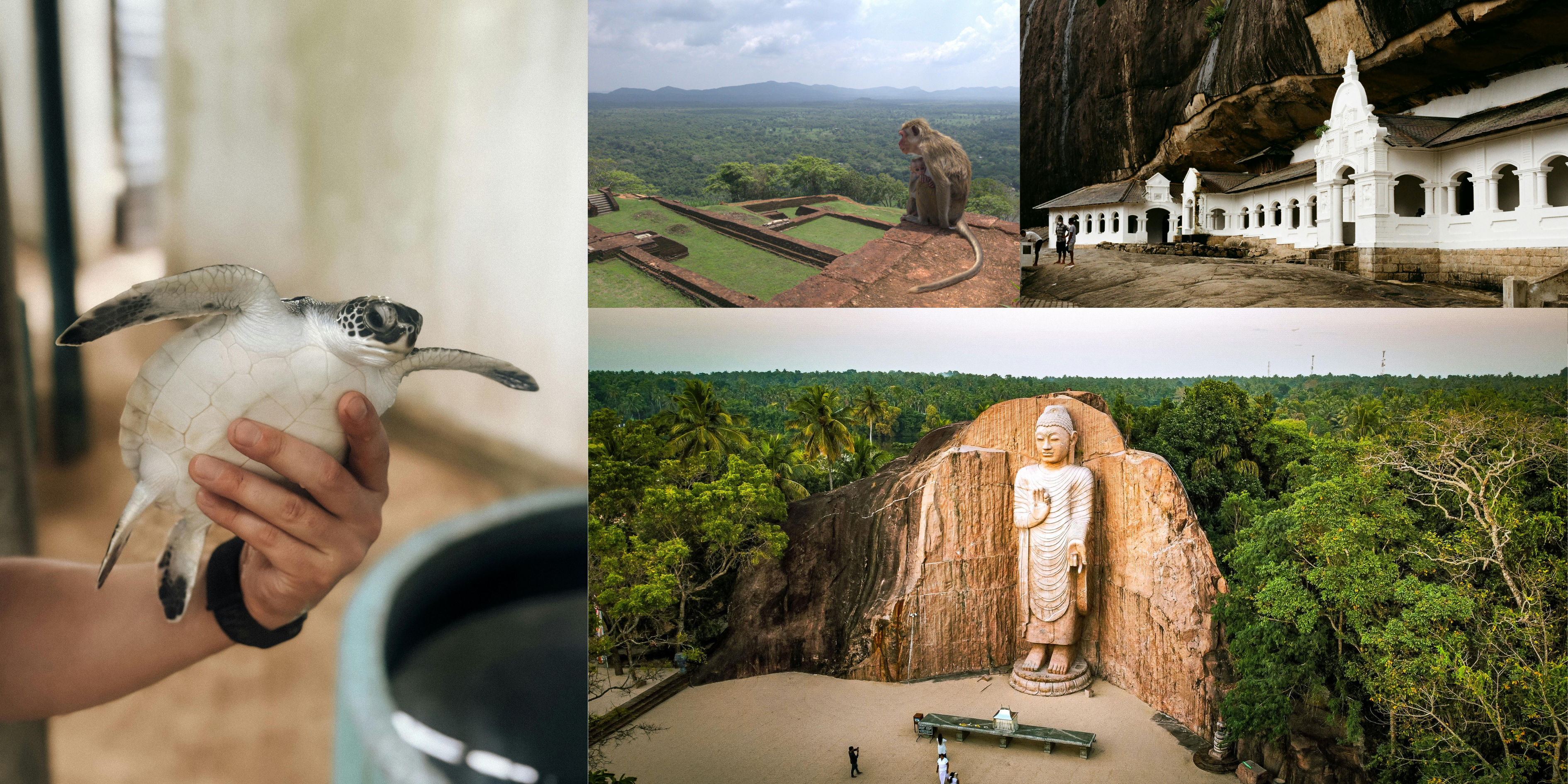 stilt-fishing-sri-lanka2 loading=